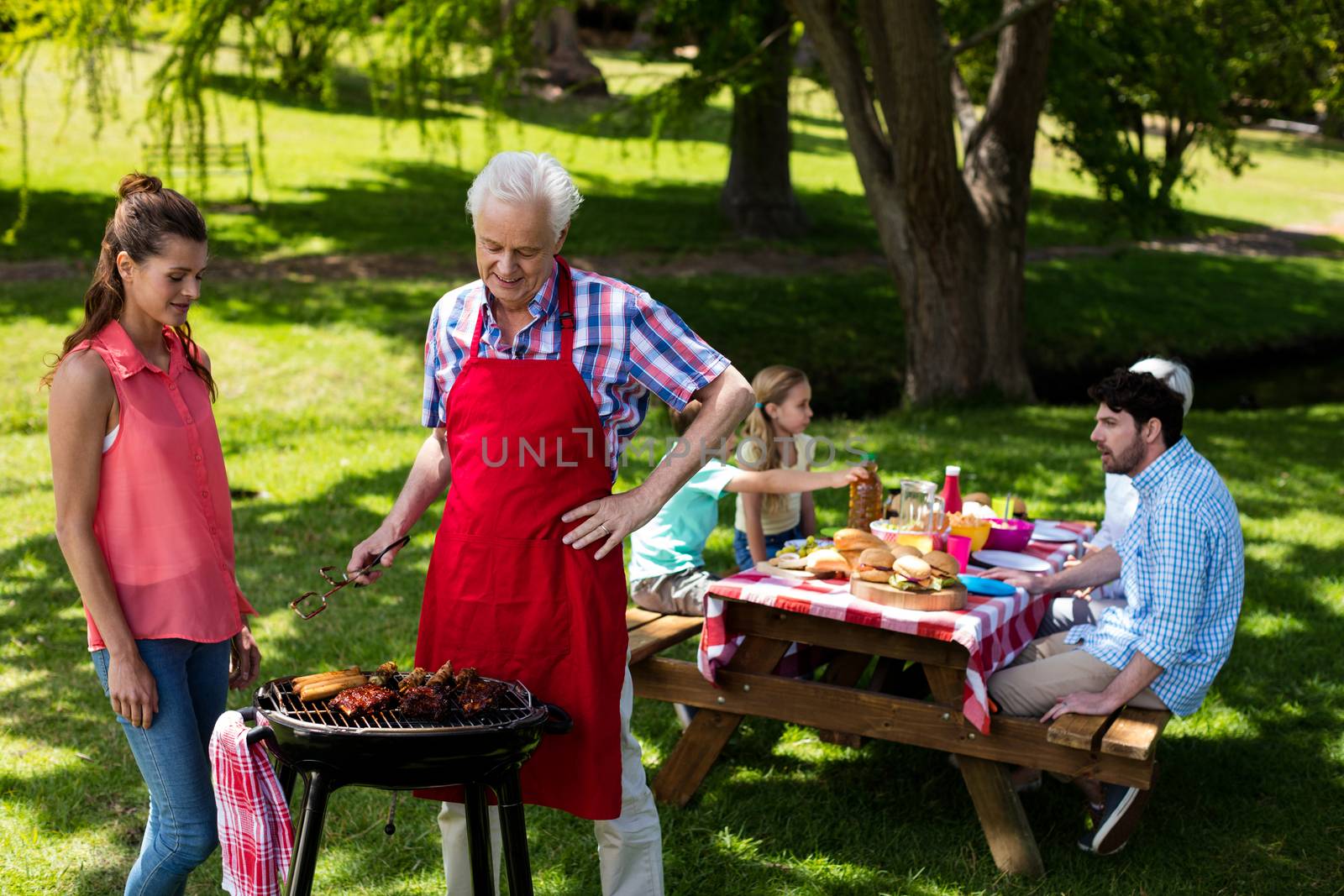 Family preparing barbeque in park