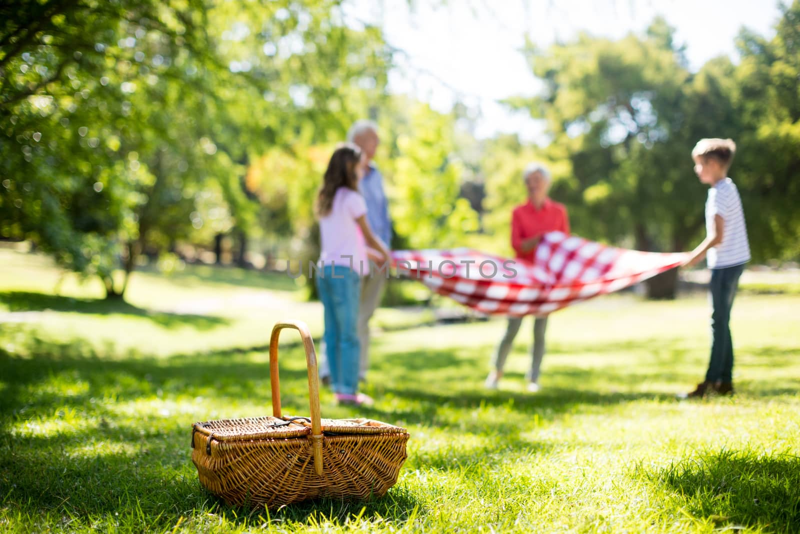 Family placing blanket in park by Wavebreakmedia