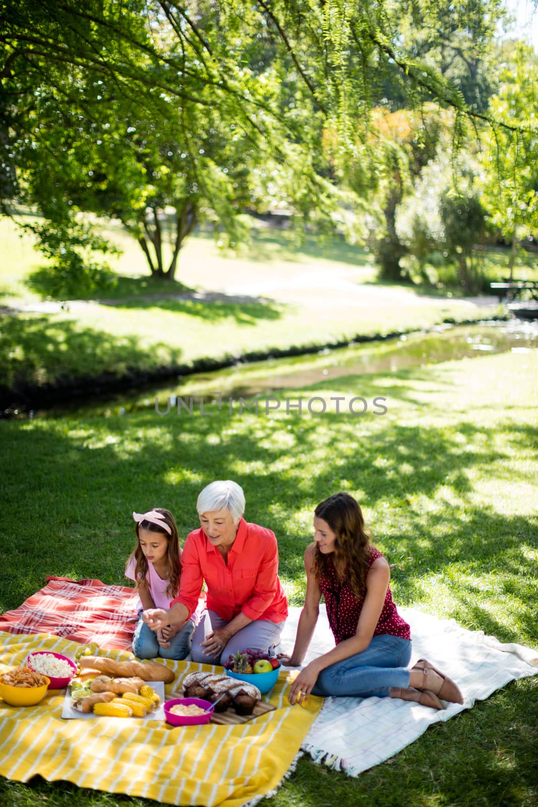 Happy family enjoying in park on sunny a day