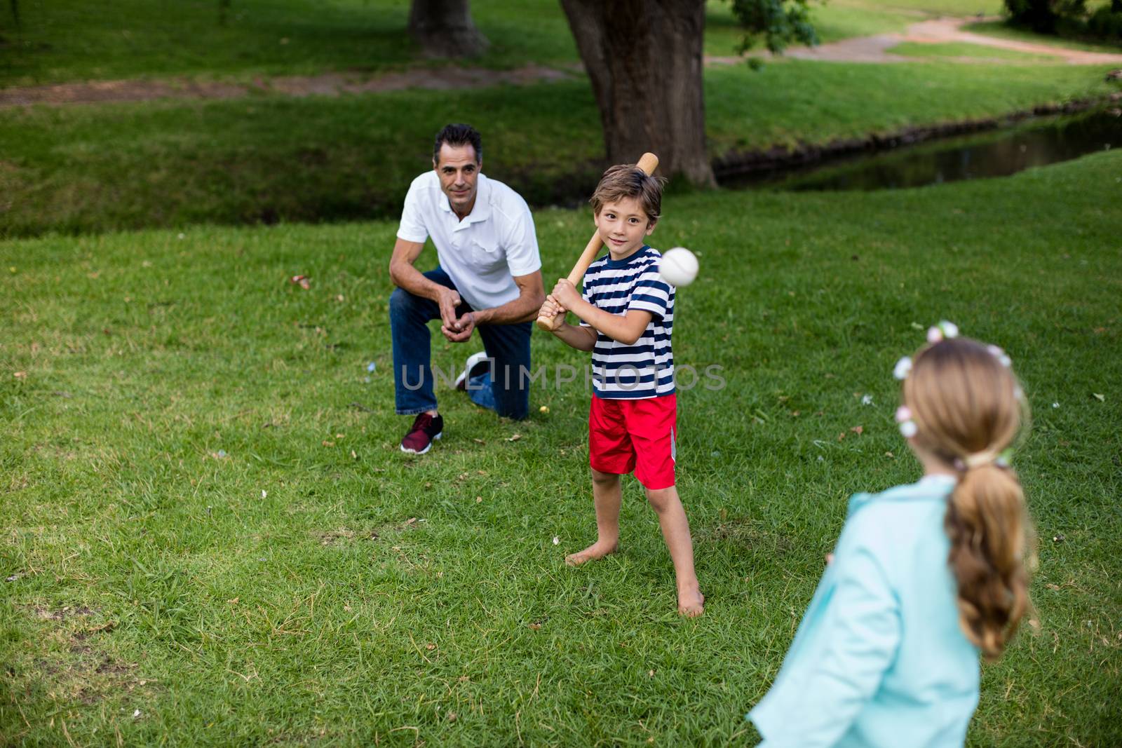 Family playing baseball in the park by Wavebreakmedia