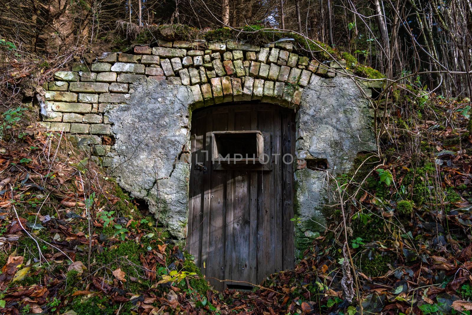 Abandoned places such as factories, farmhouses, shops, houses, facilities and clinics in Germany