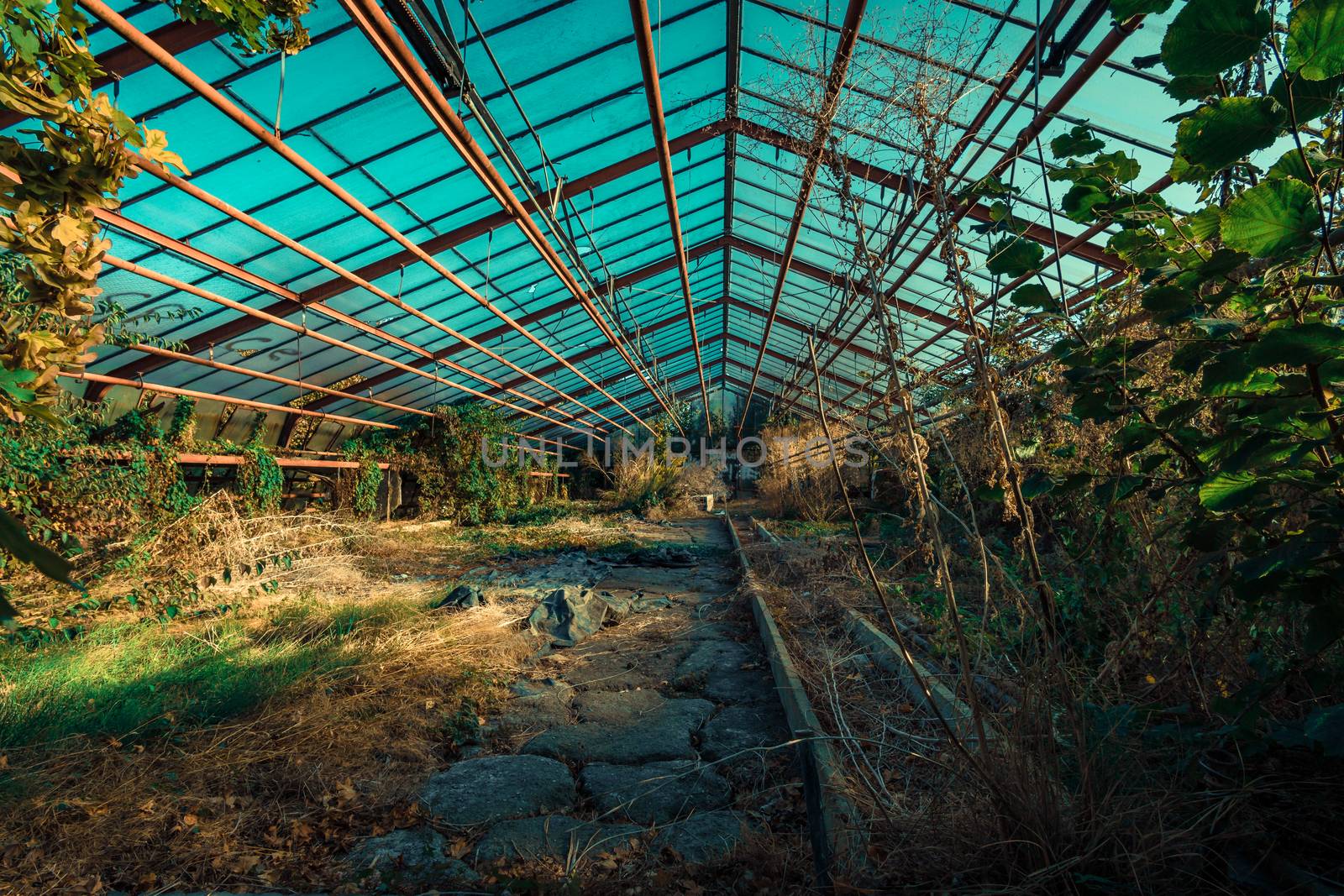 Abandoned places such as factories, farmhouses, shops, houses, facilities and clinics in Germany