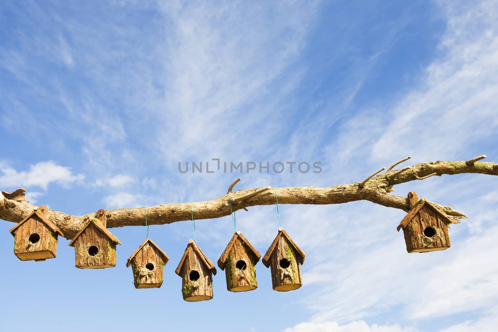 A row of wooden of bird boxes on a branch themes of shelter protection home