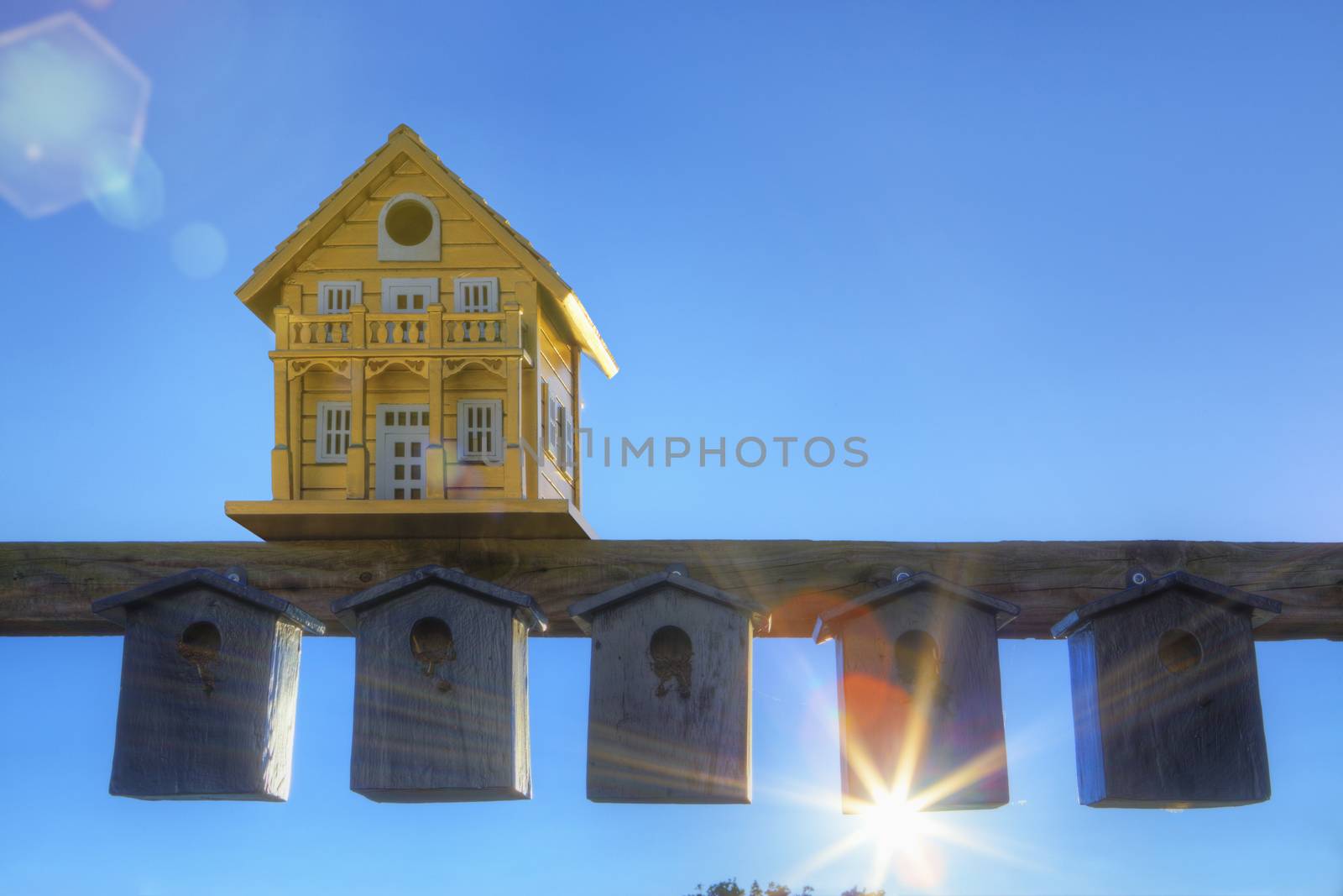 Contrasting bird boxes by conceptualmotion