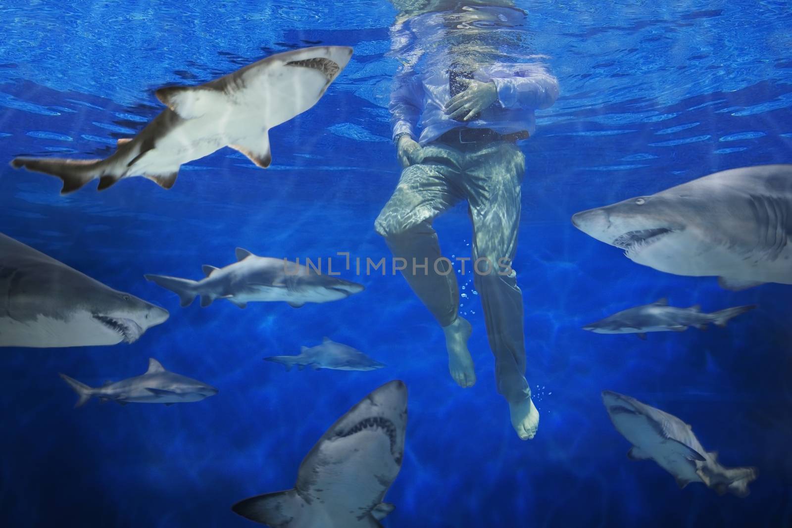 Businessman underwater, surrounded by circling sharks themes of danger adversity predator prey