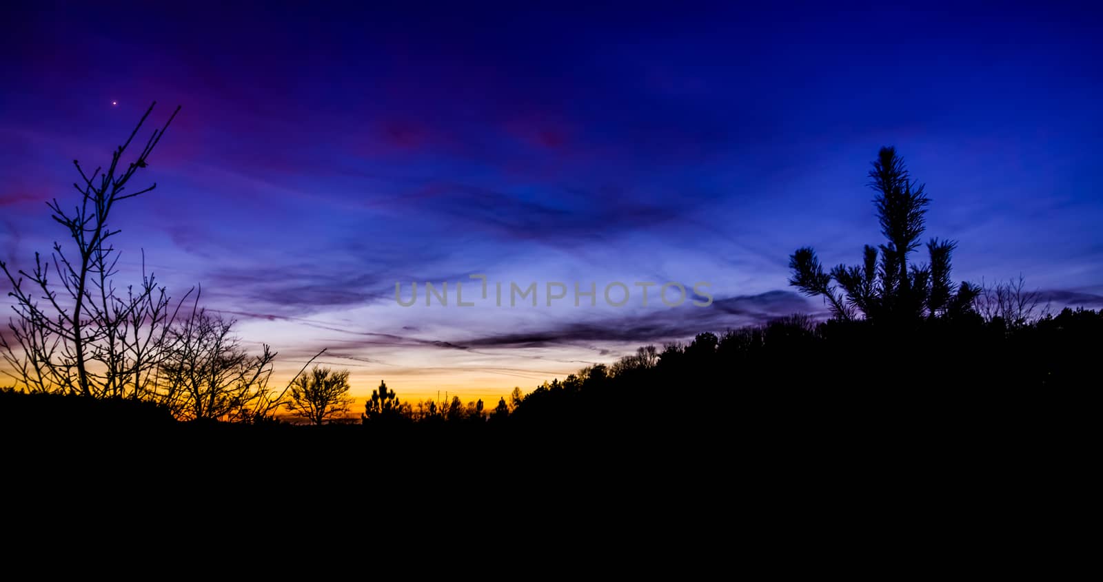 beautiful and colorful sunset on the Rucphense heide, Heather landscape in Rucphen, The Netherlands