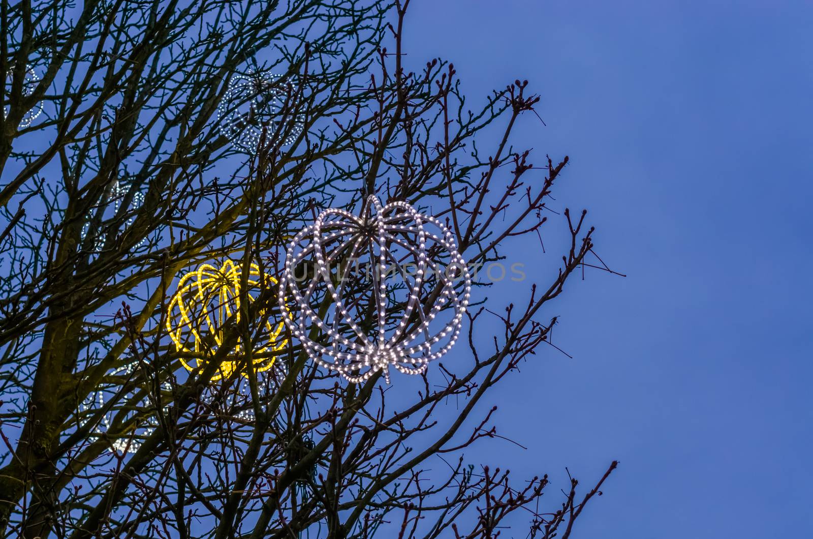 lighted led spheres hanging in the trees, beautiful outdoor winter decorations by charlottebleijenberg