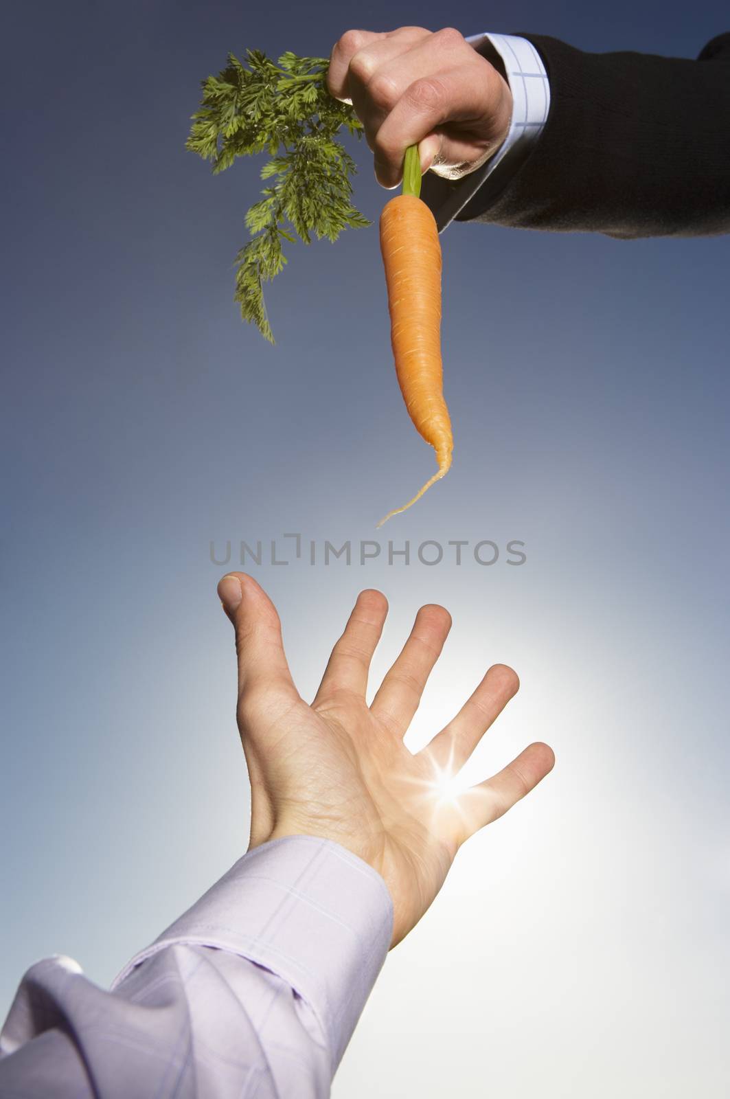 A caucasian man reaching for a carrot themes of bait temptation desire