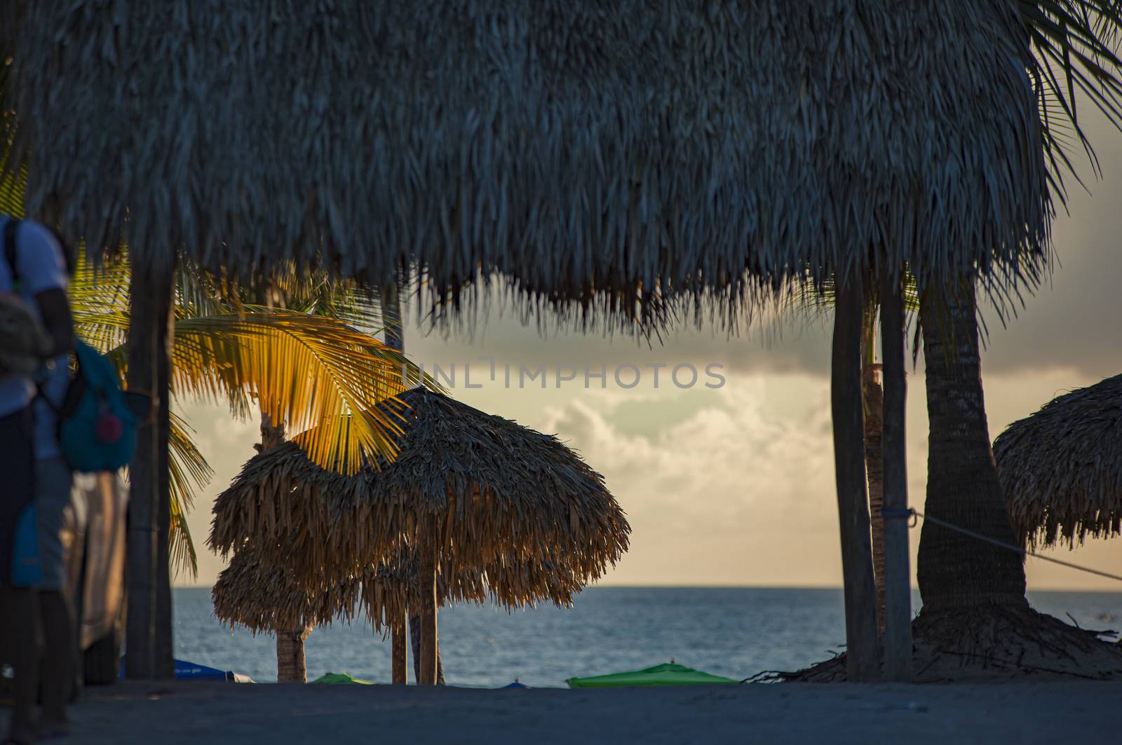 Straw umbrellas on the beach at sunset by pippocarlot