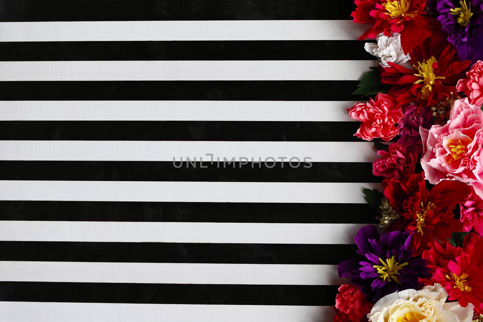 Background of black and white stripes and bright large flowers