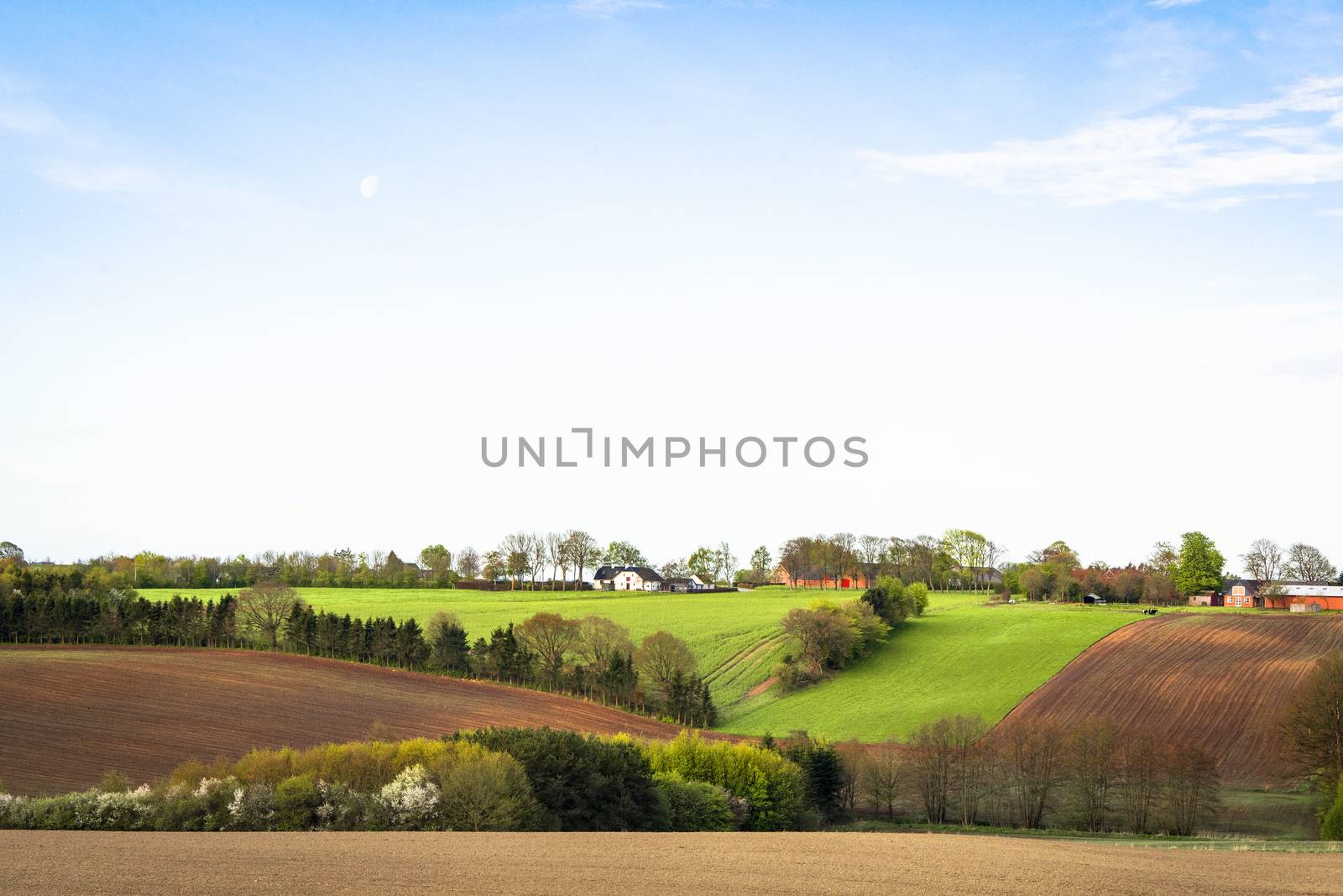 Rural landscape with cultivated fields by Sportactive