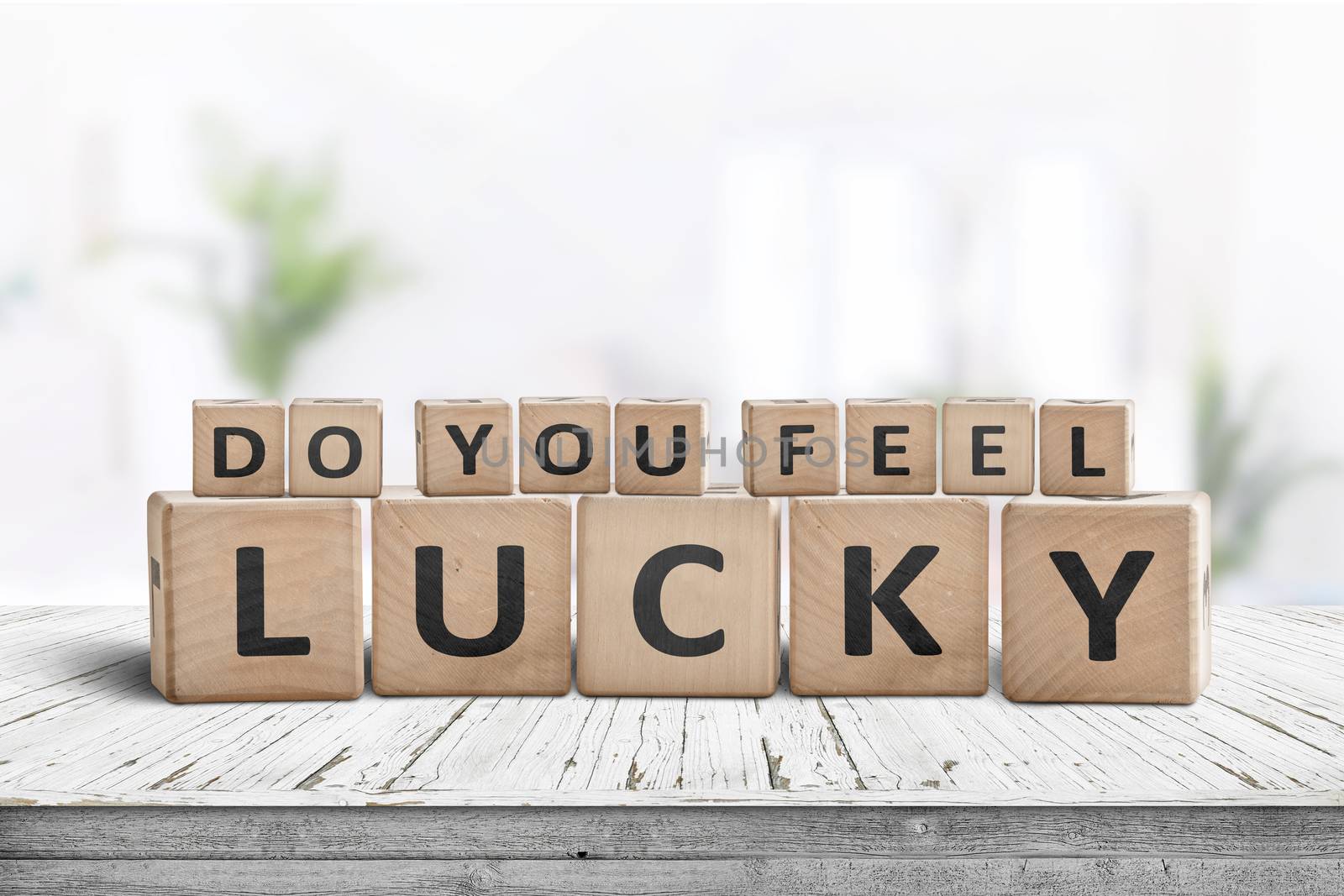 Do you feel lucky sign on a wooden table in a bright room with green plants