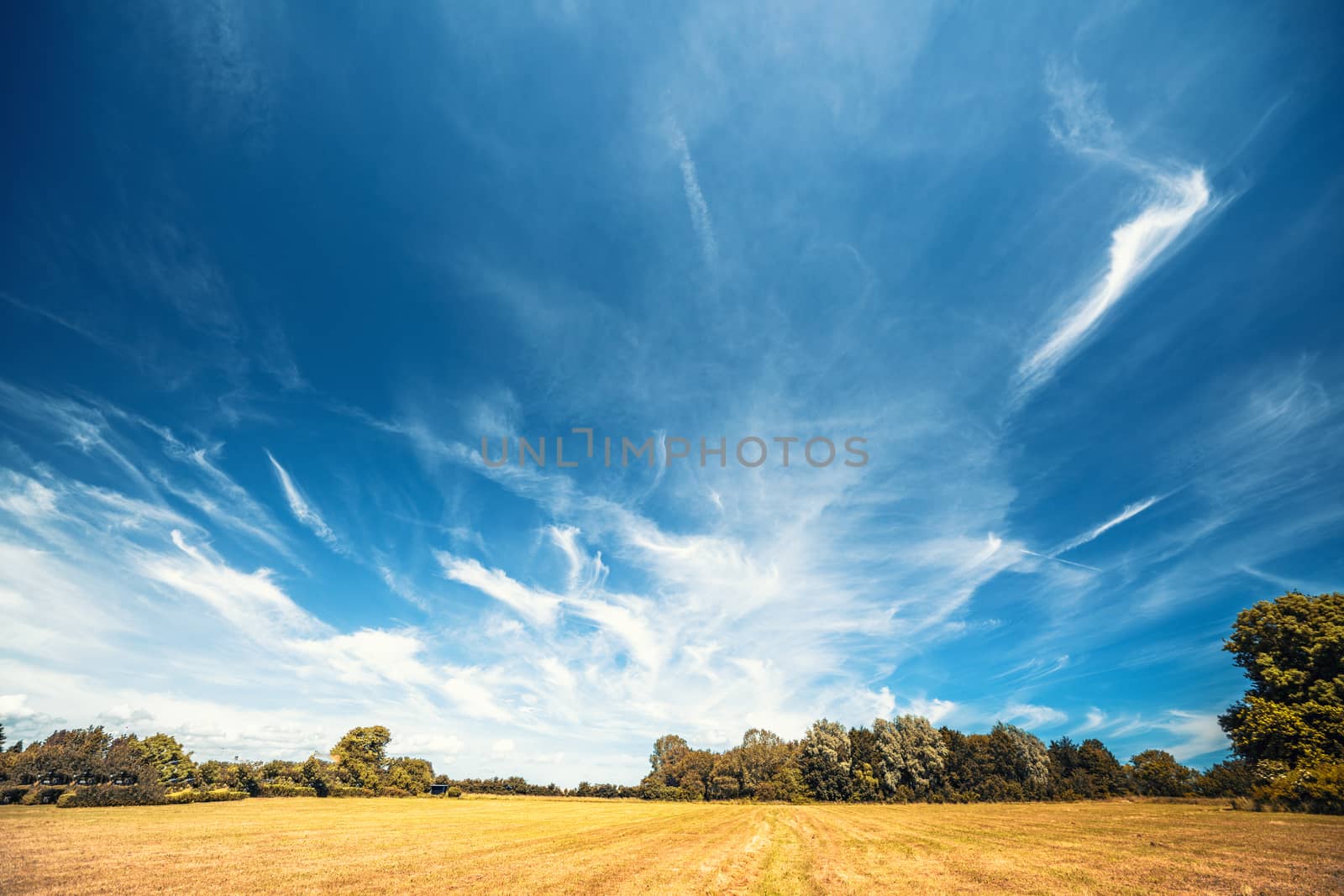 Countryside landscape with a dramatic blue sky over dry fields in the late summer