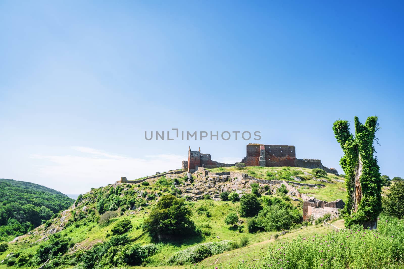 Ancient castle on a green hill with trees and bushes under a blue sky in the summer