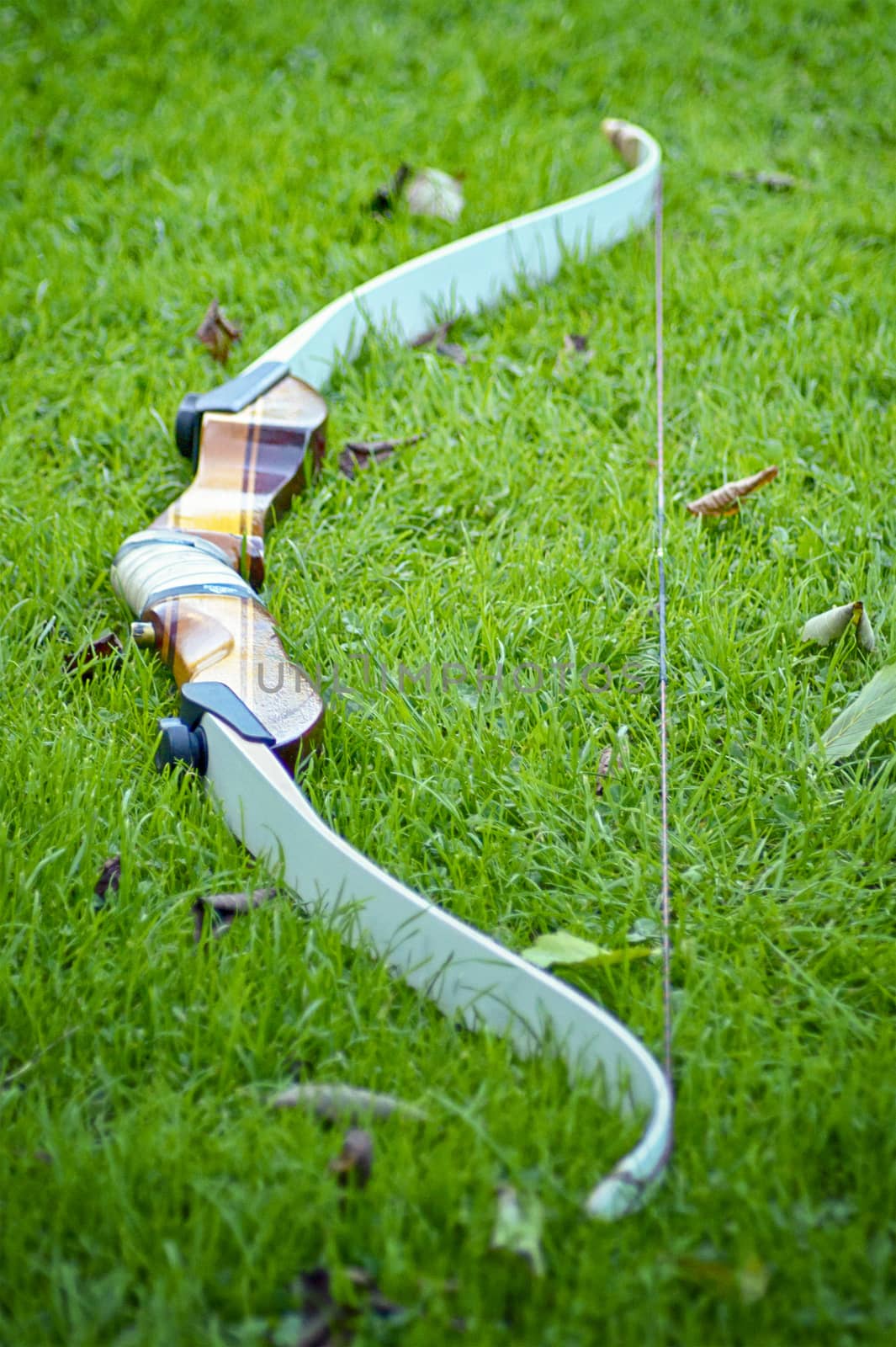 Sports bow in green grass in the fall with a brown handle and leaves on the lawn