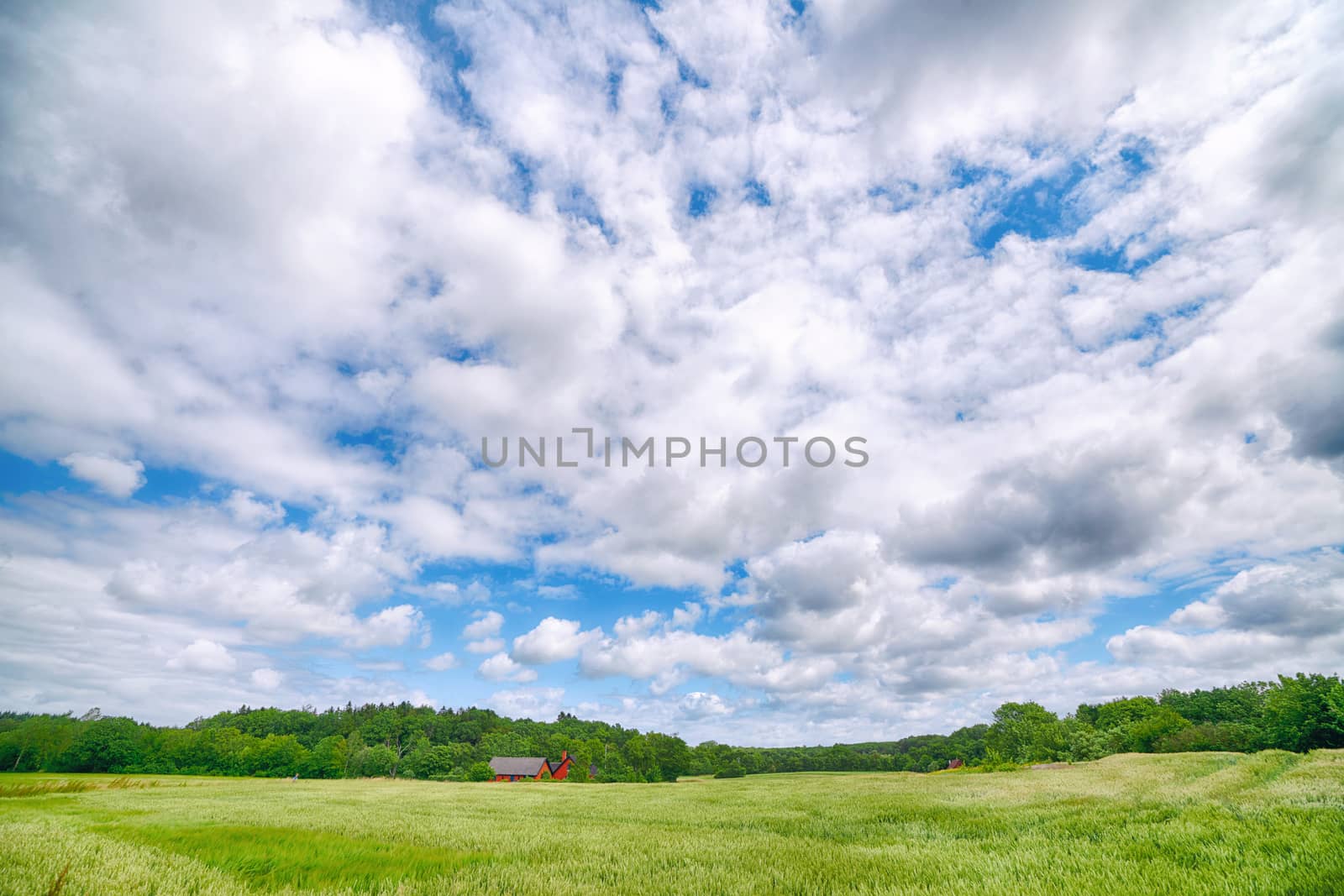 Countryside landscape with a small farm in red colors surrounded by green fields under a cloudy sky