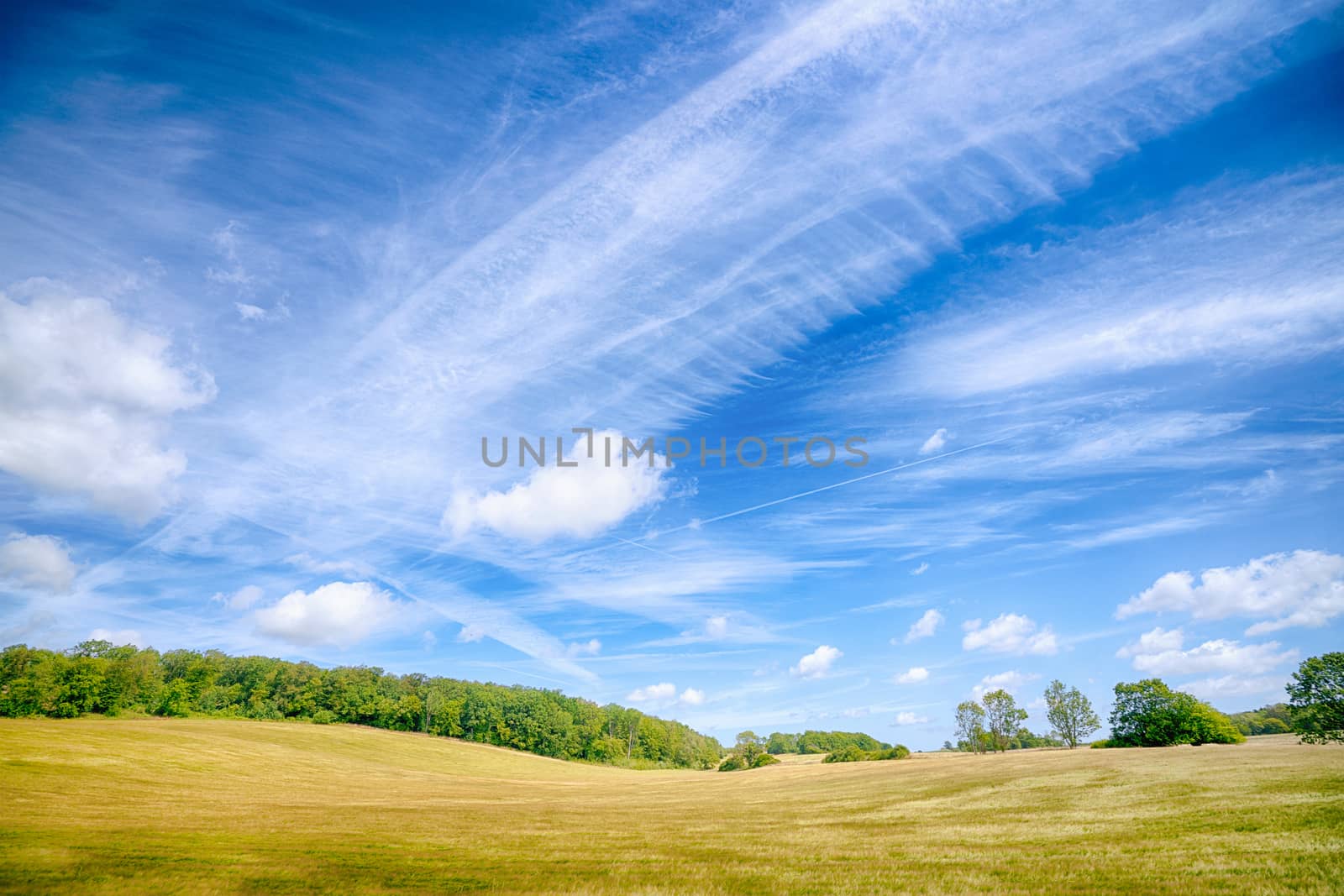 Colorful landscape in a rural environment under a dramatic blue sky in the summer