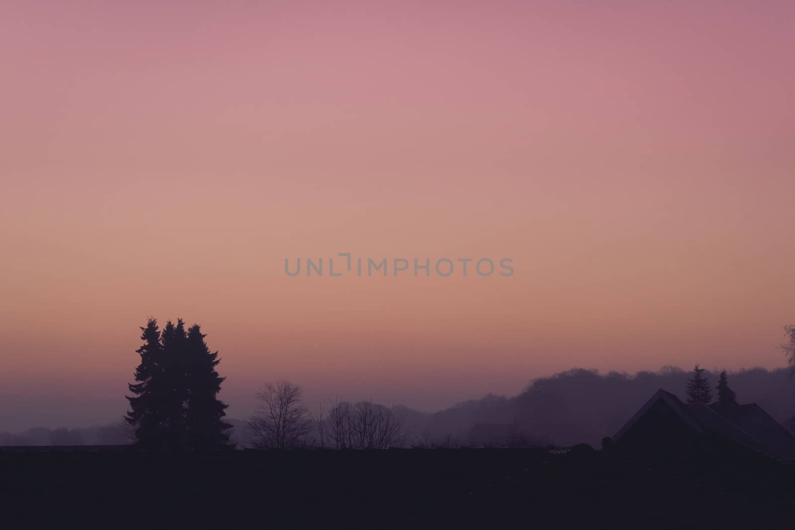 Violet morning sunrise over rooftops and tree silhouettes in February