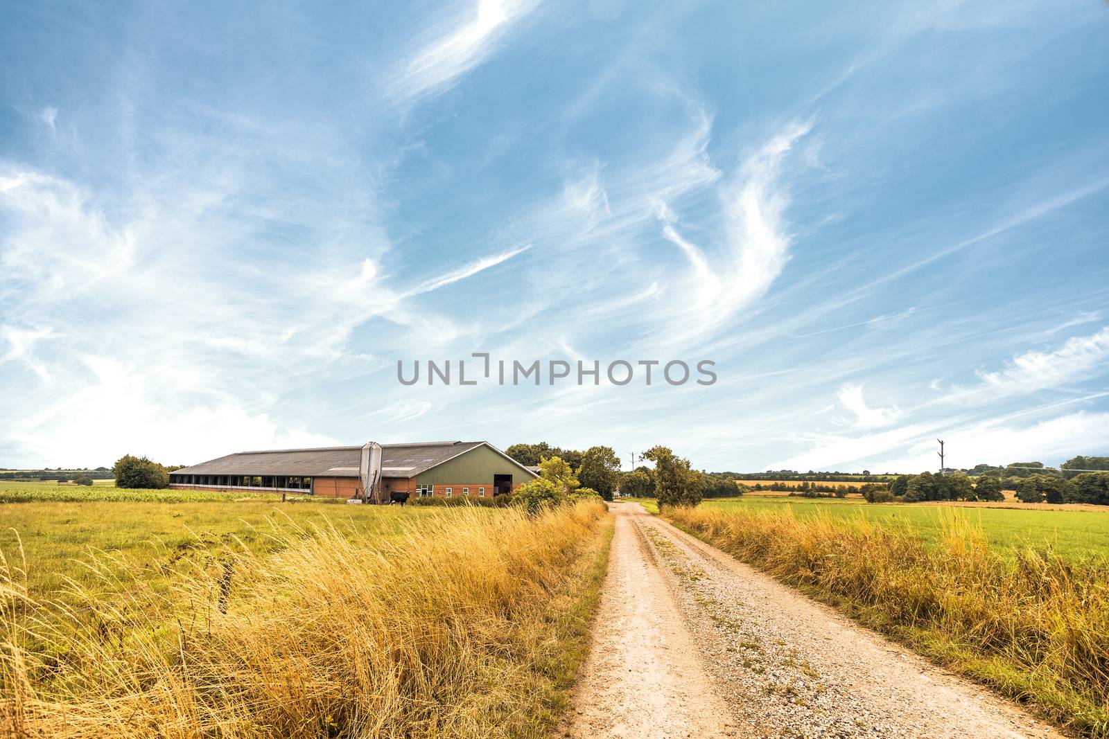 Farm house near a road in a rural countryside landscape in the summer