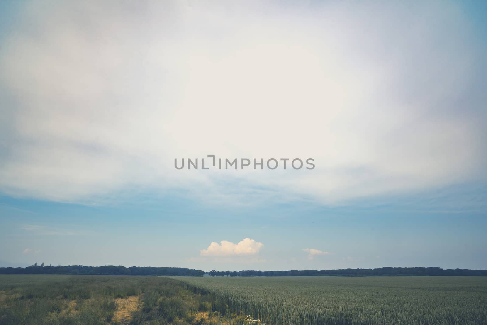 Rural countryside landscape with matte effect under a beutiful sky in the summer