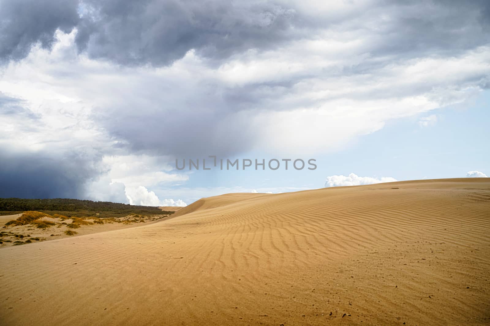 Sand dune in a desert with dark clouds coming in over the dry land