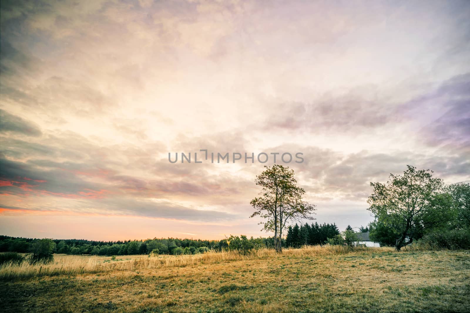 Sunset over a countryside landscape with a small house and a lonely tree