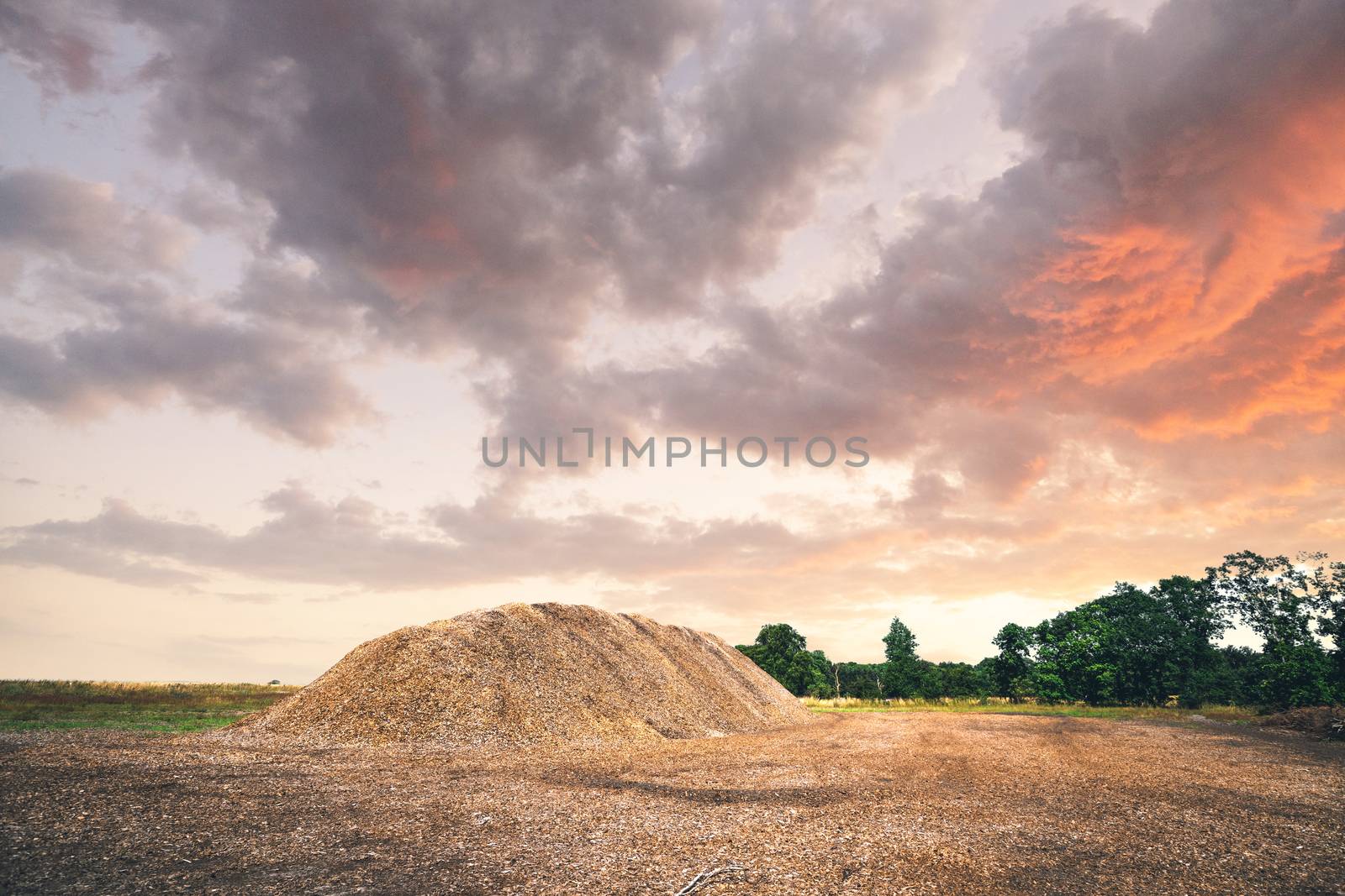 Mulch pile in the summer sunset by Sportactive