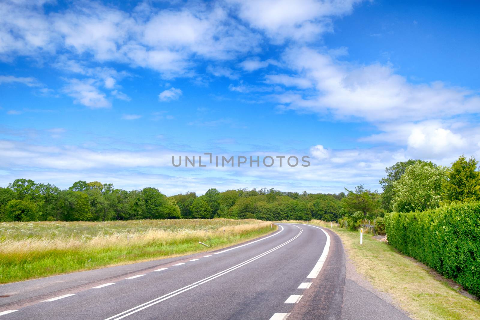 Curvy road under a blue sky in the summer by Sportactive