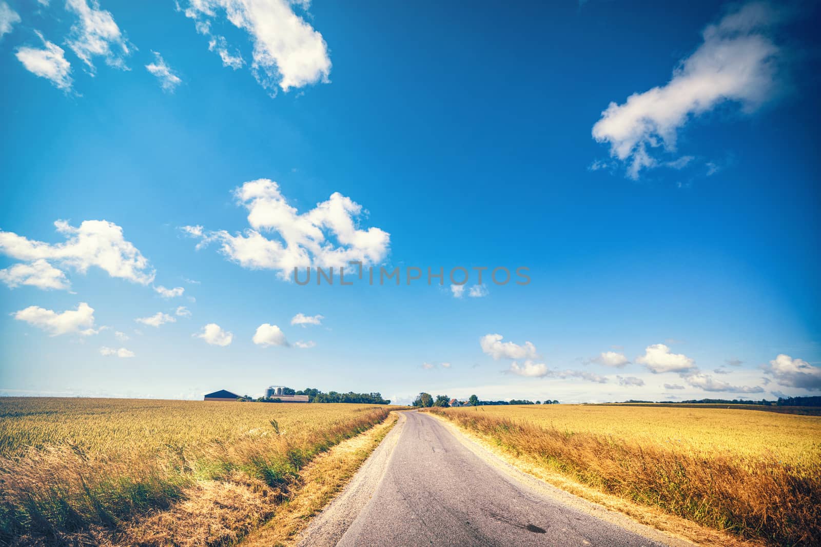 Road leading to a farm in the summer by Sportactive