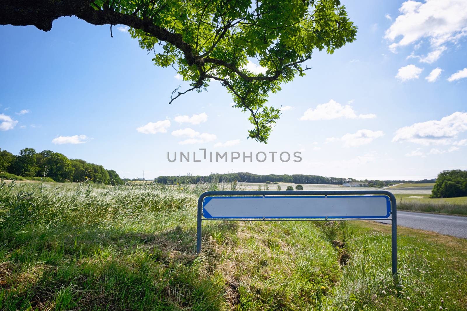 Road sign with an arrow in idyllic nature by Sportactive