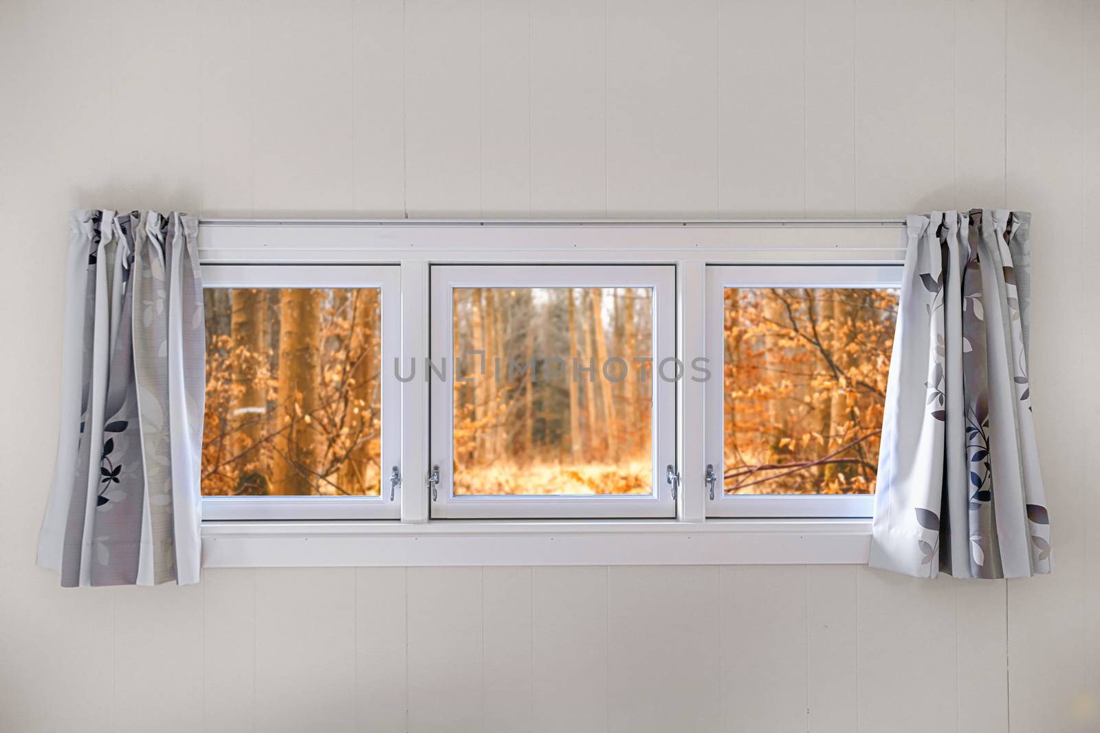 Autumn view in a window on a wall with curtains decorated with leaf illustrations