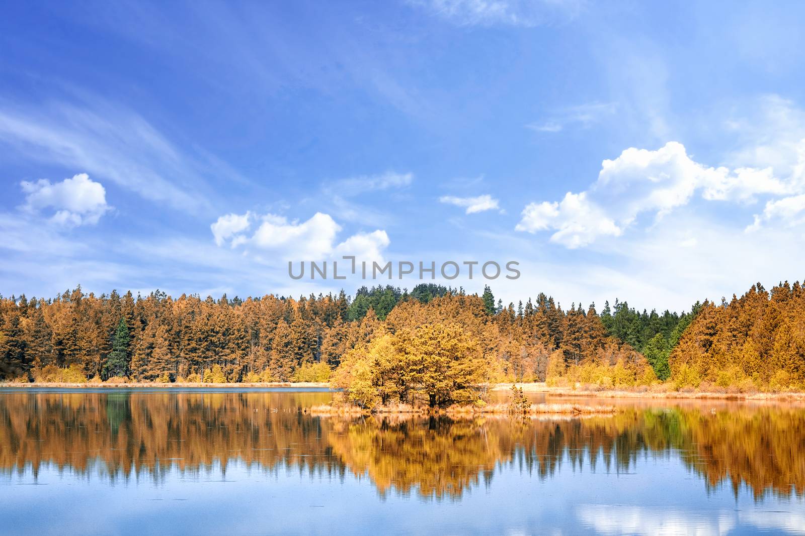 Autumn lake scenery with colorful trees under a blue sky in the summer