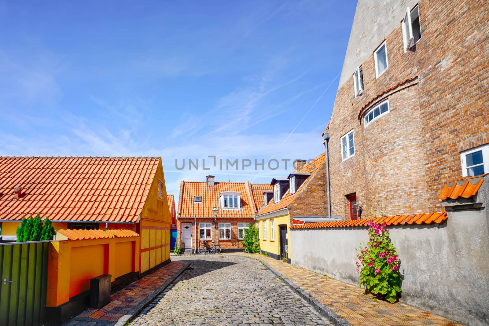 Colorful danish street in the summer with small houses under a blue sky
