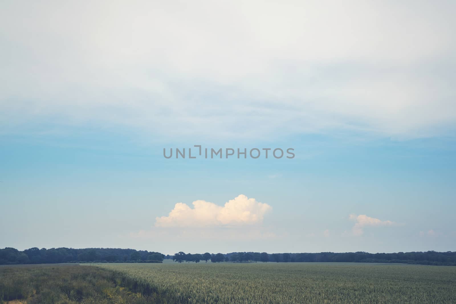 Matte landscape with rural fields under a blue sky in the summer