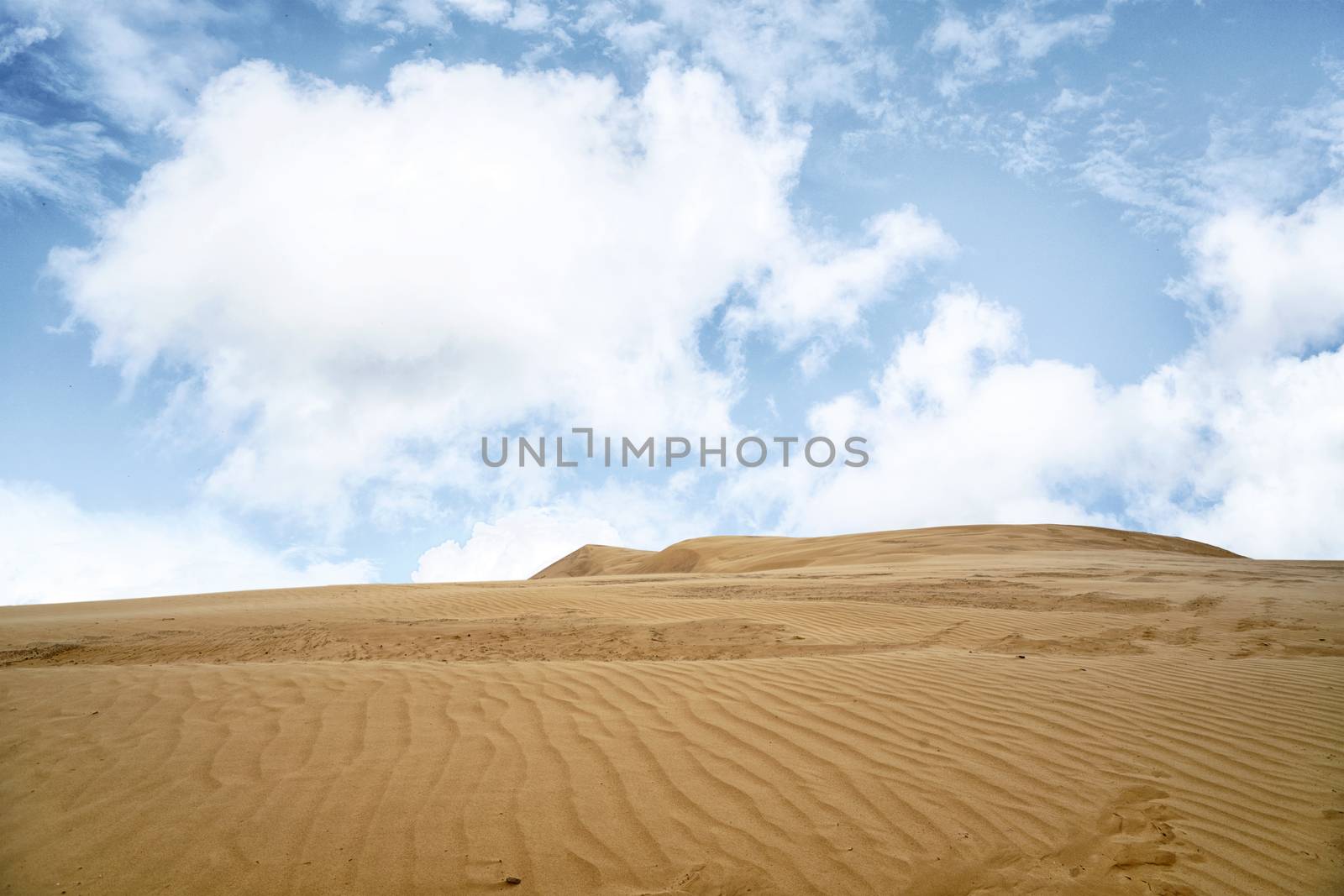 Desert with sand ripples under a blue sky by Sportactive