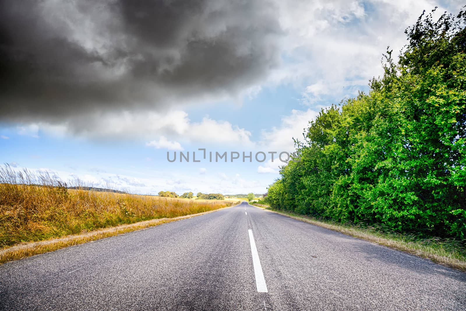 Asphalt road in a rural landscape with vibrant colors under a cloudy sky