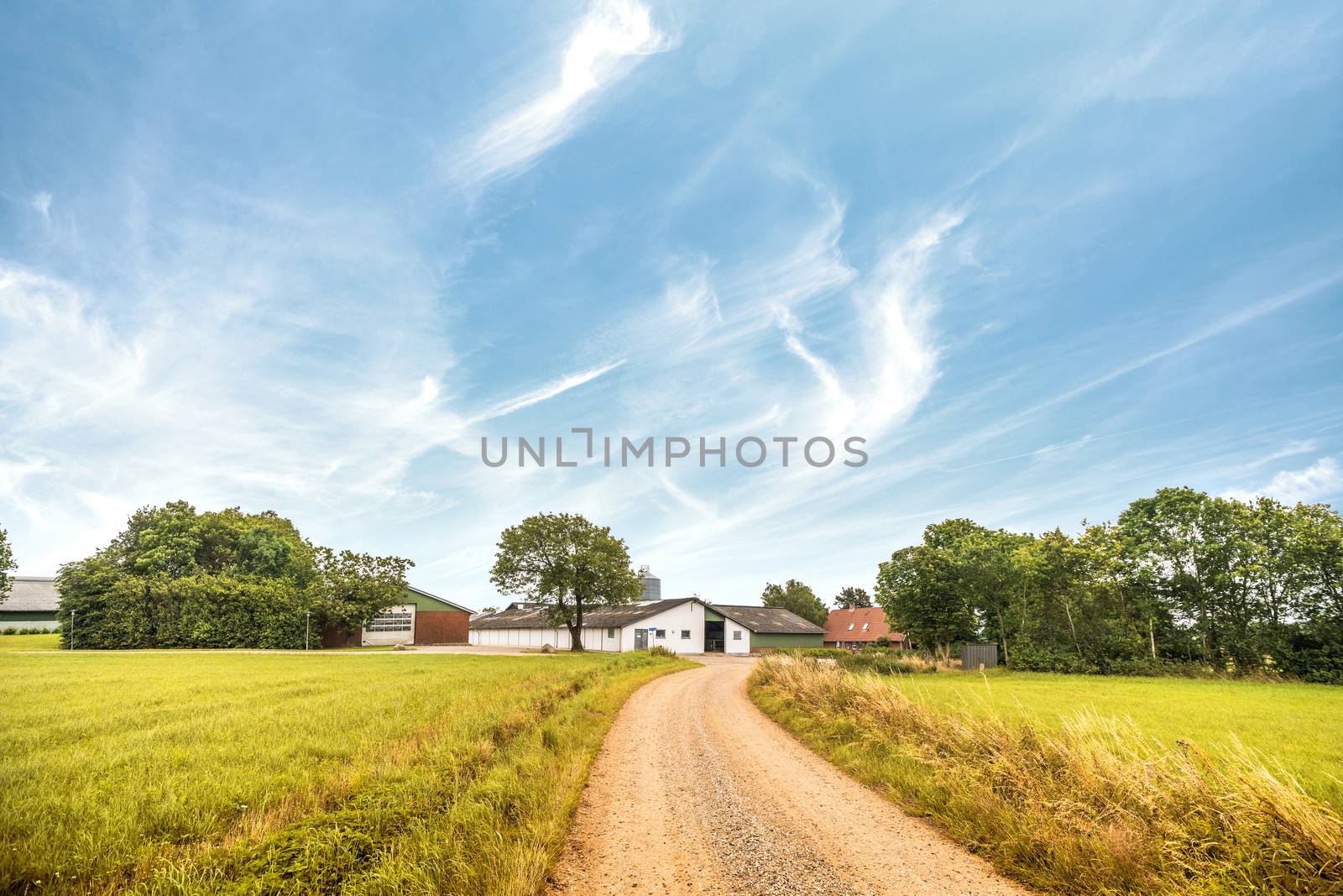 Road going up to a farm in a rural landscape in the summer under a blue sky