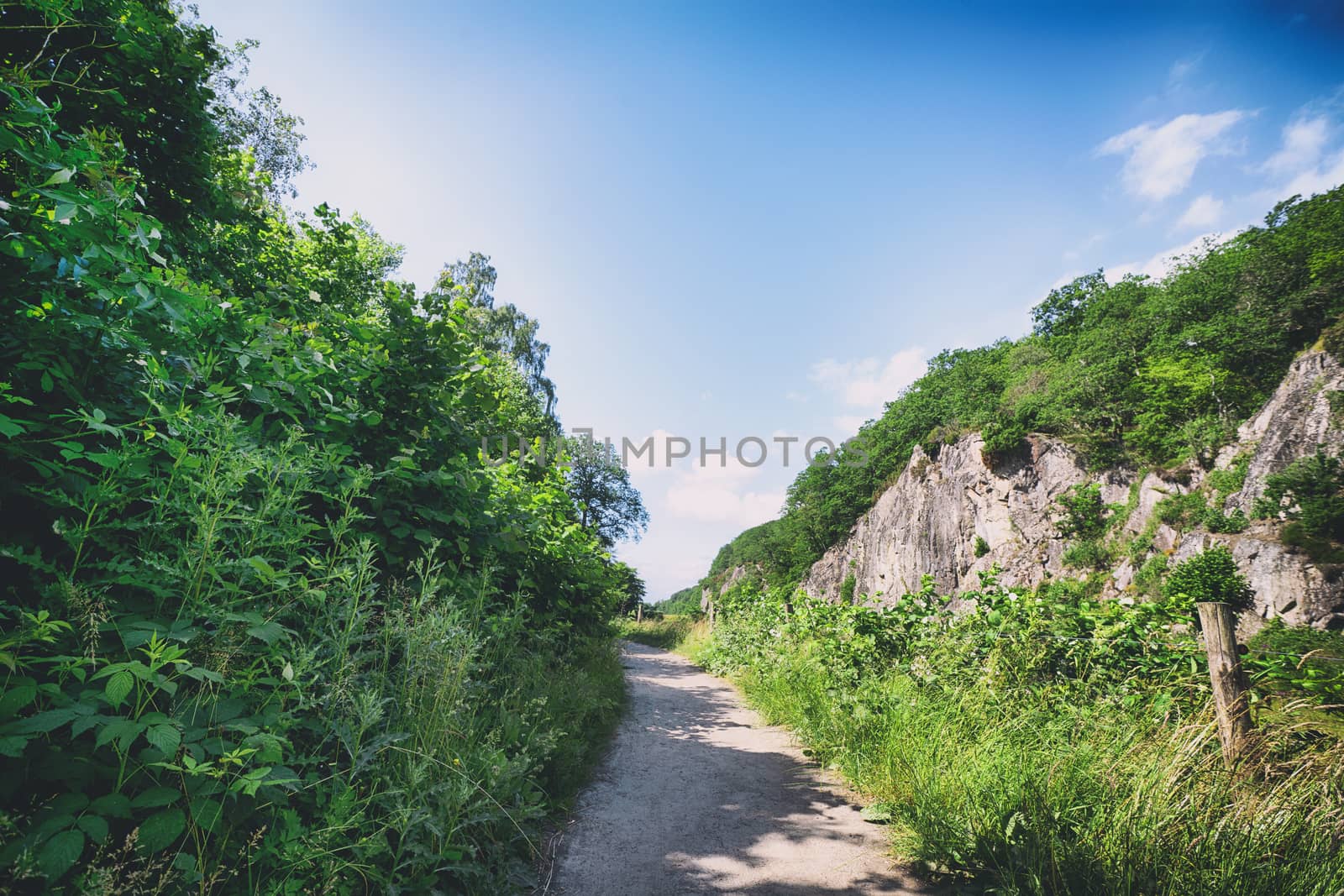 Hiking trail surrounded på cliffs and trees under a blue sky in the summer
