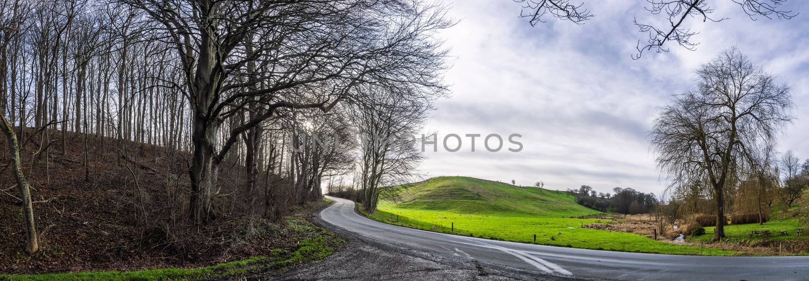 Curvy road in a forest panorama scene by Sportactive