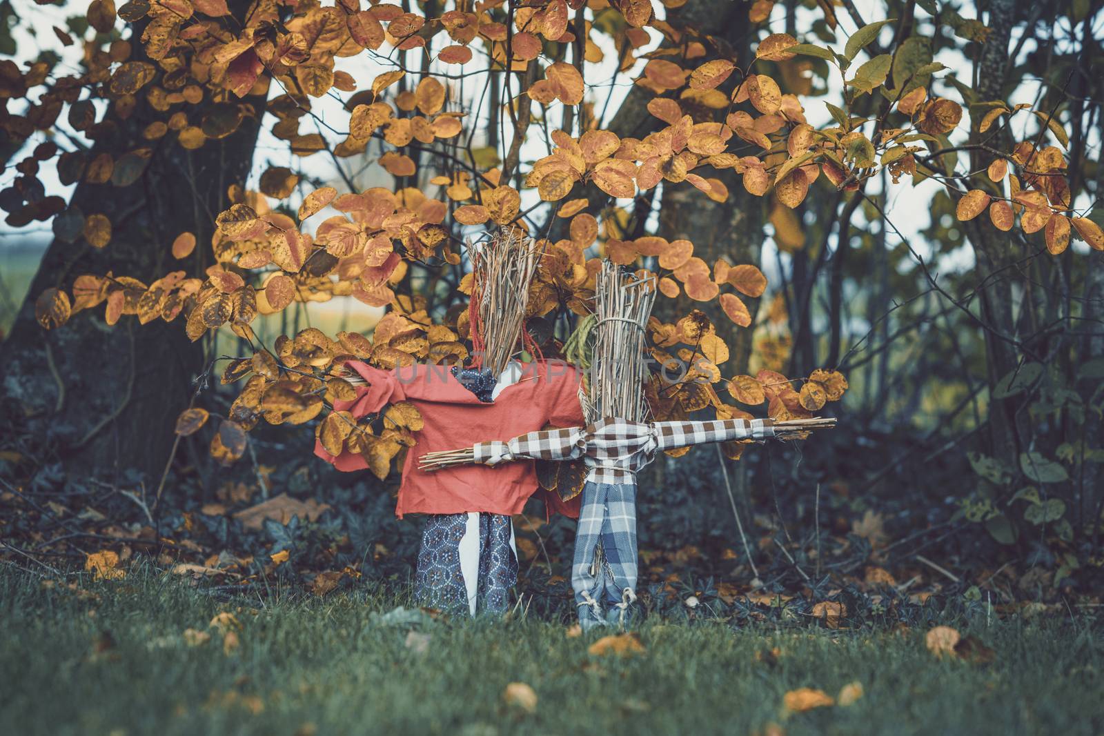 Scarecrows in a garden in the fall by Sportactive