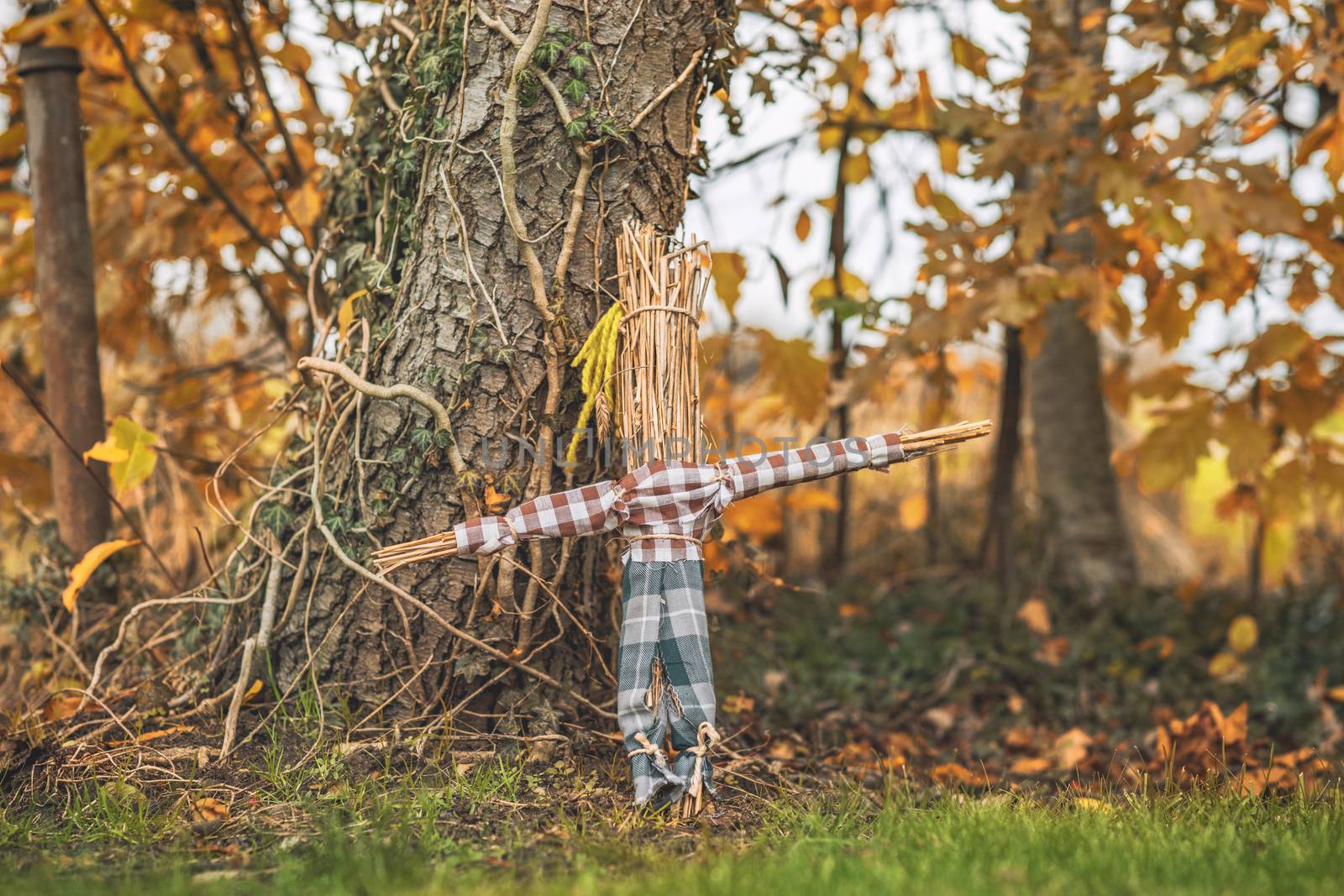 Rural scarecrow standing in a garden by Sportactive