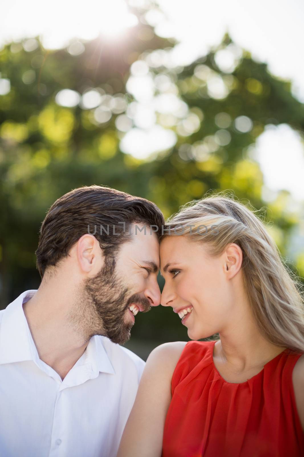 Couple face to face in park on a sunny day by Wavebreakmedia