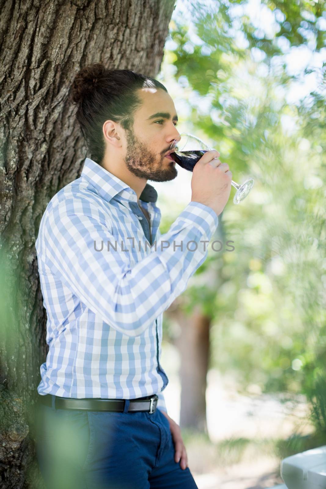 Portrait of man having wine in the park on a sunny day