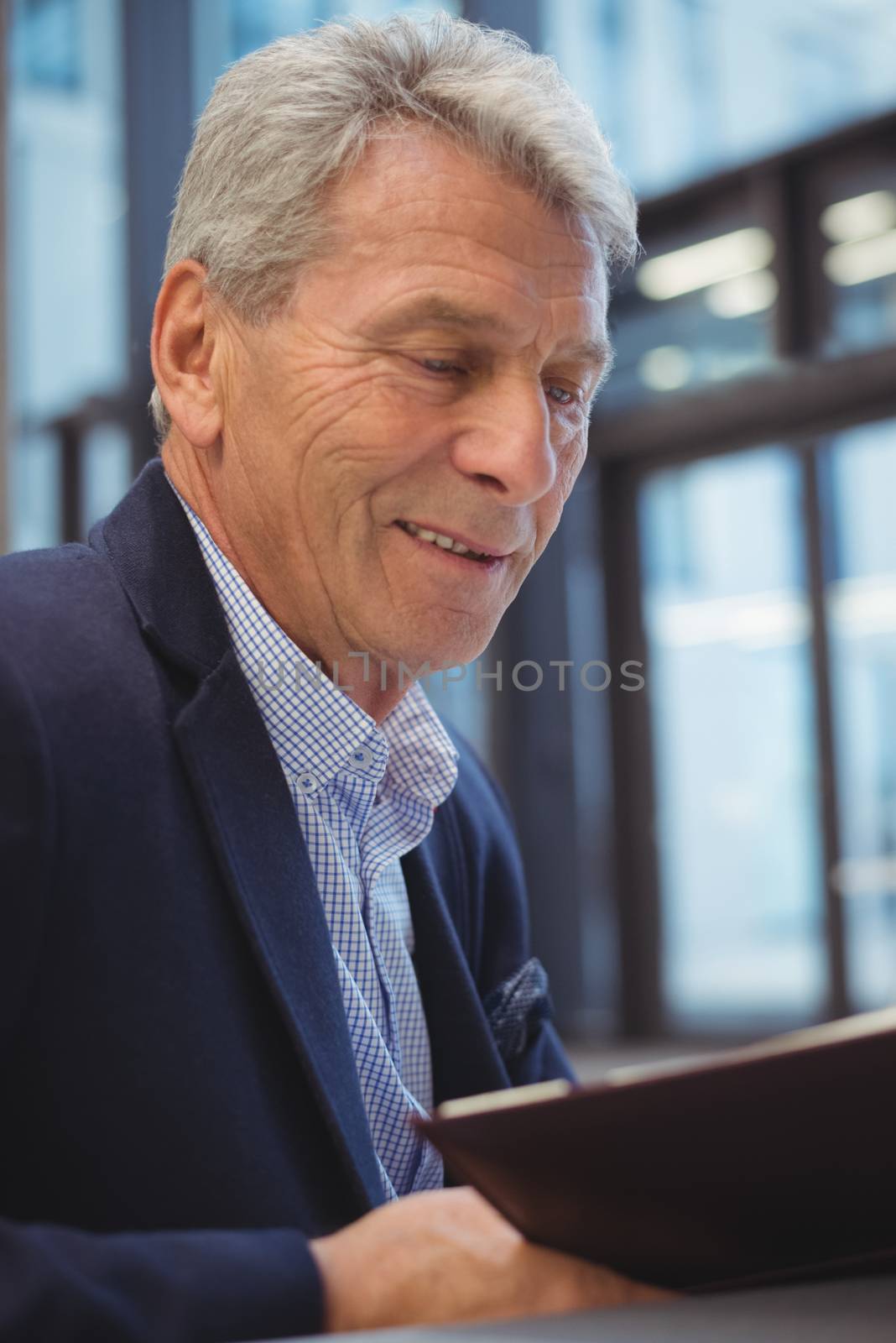 Attentive businessman looking at organizer in office
