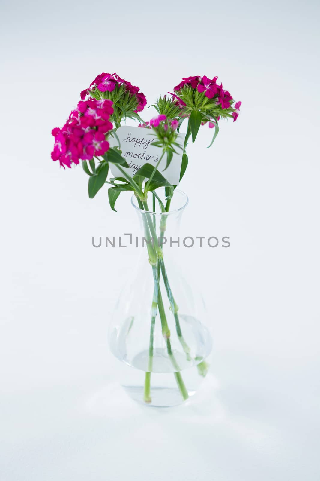 Bunch of pink roses with happy mothers day tag in flower vase on white background
