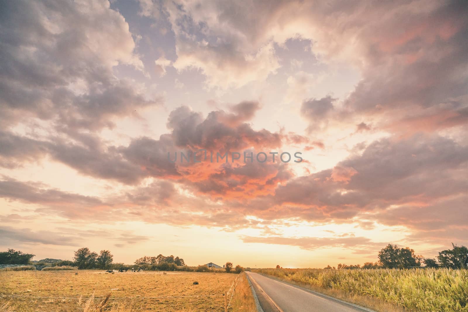 Rural sunset with an asphalt road crossing a countryside landscape with a farm and dry fields