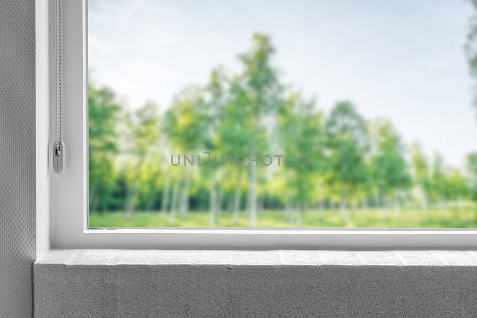Windowsill with a view to a green garden with trees in the spring