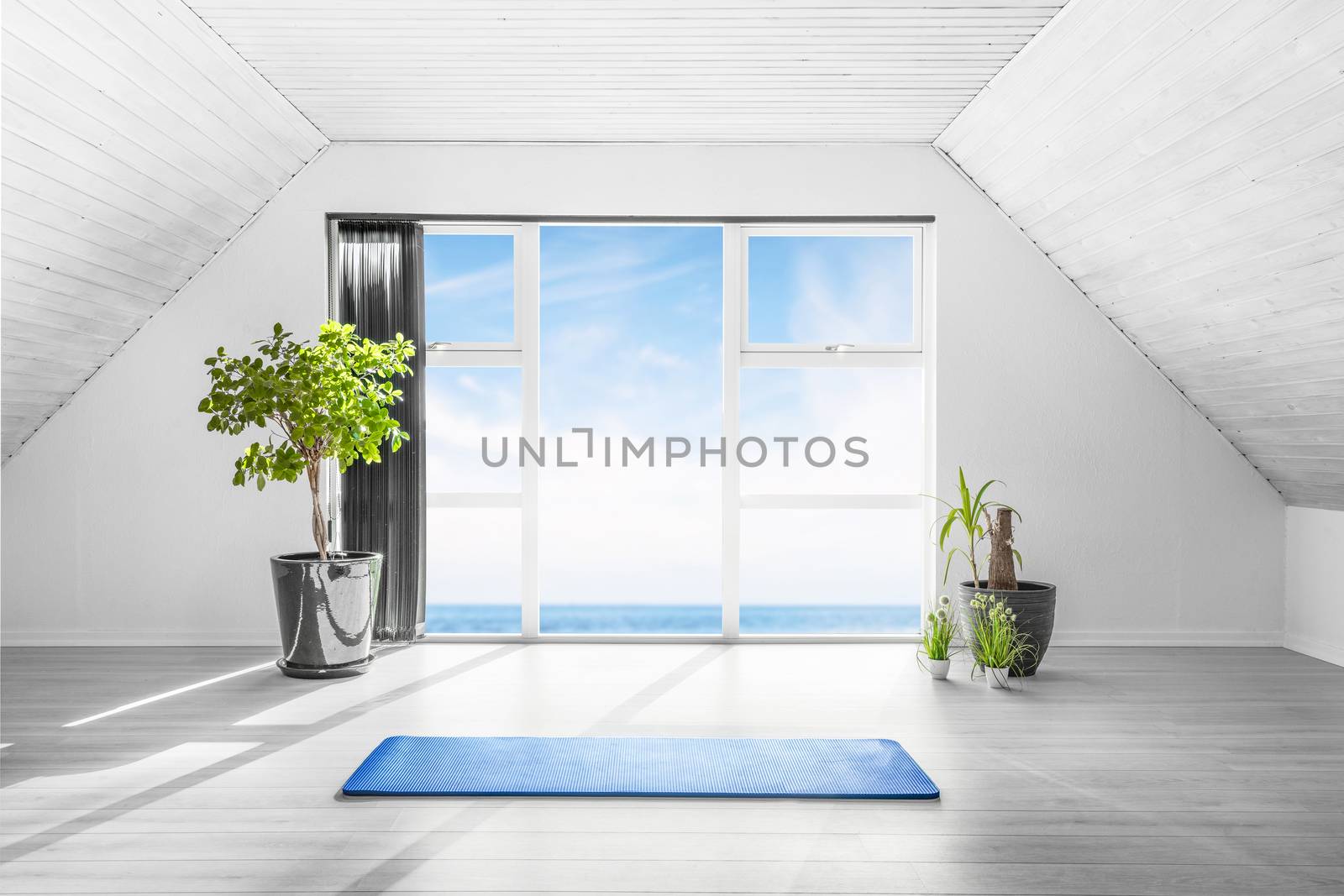 Indoor yoga scene with a blue mat in a bright room with an ocean view and a couple of green plants