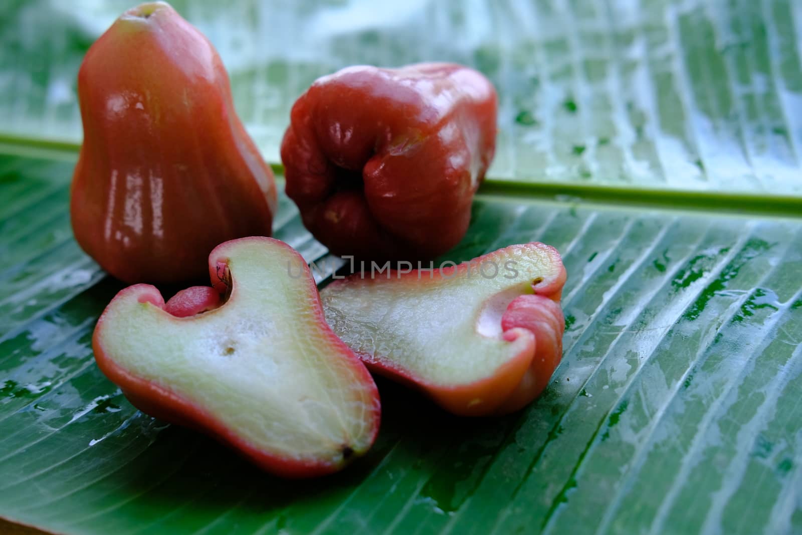 Rose Apple ripe fresh exotic fruit whole and cut on the wet banana leaf isolated. 