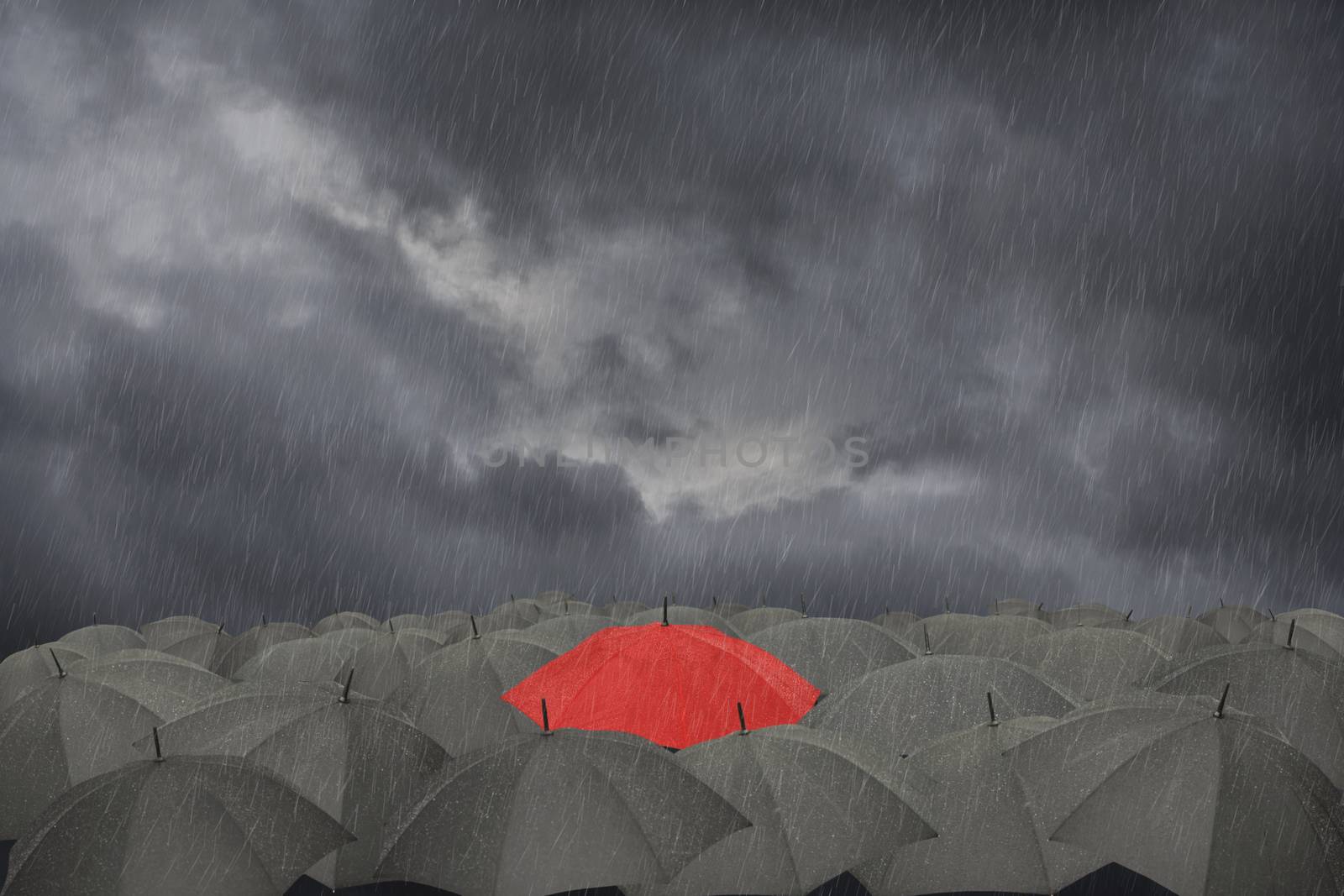 A red Umbrella surrounded by a collection of black umbrellas in the rain
